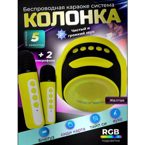 Караоке-колонка - портативная колонка с двумя микрофонами 379900₽