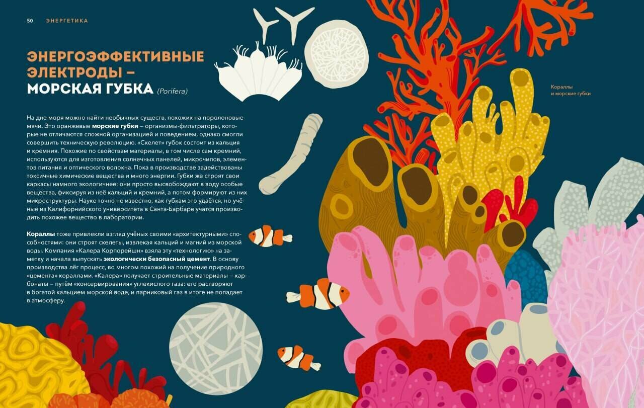 Дикие изобретения. 40 технологий, подаренных нам природой - фото №4