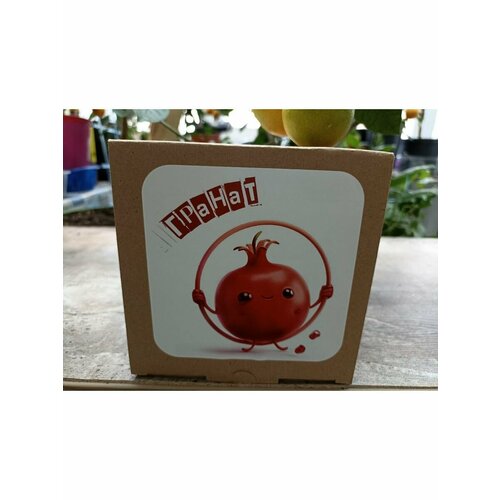 Набор для выращивания 