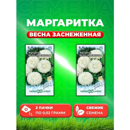 Маргаритка Весна заснеженная, 0,02г, Гавриш(2уп) гавриш маргаритка весна заснеженная серия устойчив к заморозкам 0 02 грамма