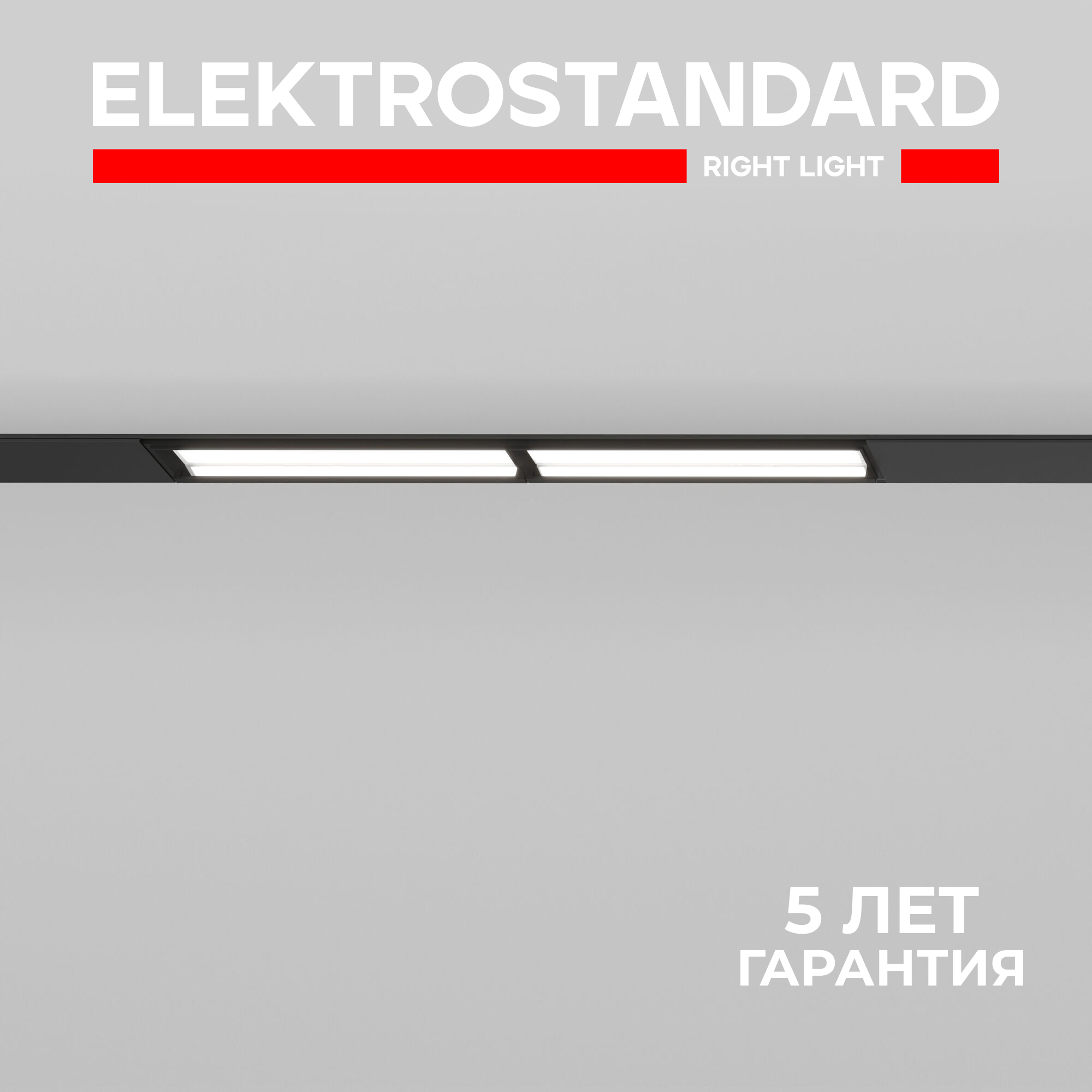 Трековый светодиодный светильник Elektrostandard Slim Magnetic WL02 85008/01, 12 Вт, 4200 K, цвет черный
