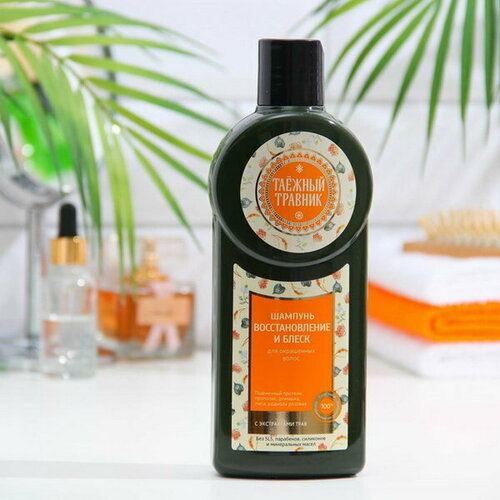 Шампунь восстановление и блеск, для окрашенных волос, 400 мл