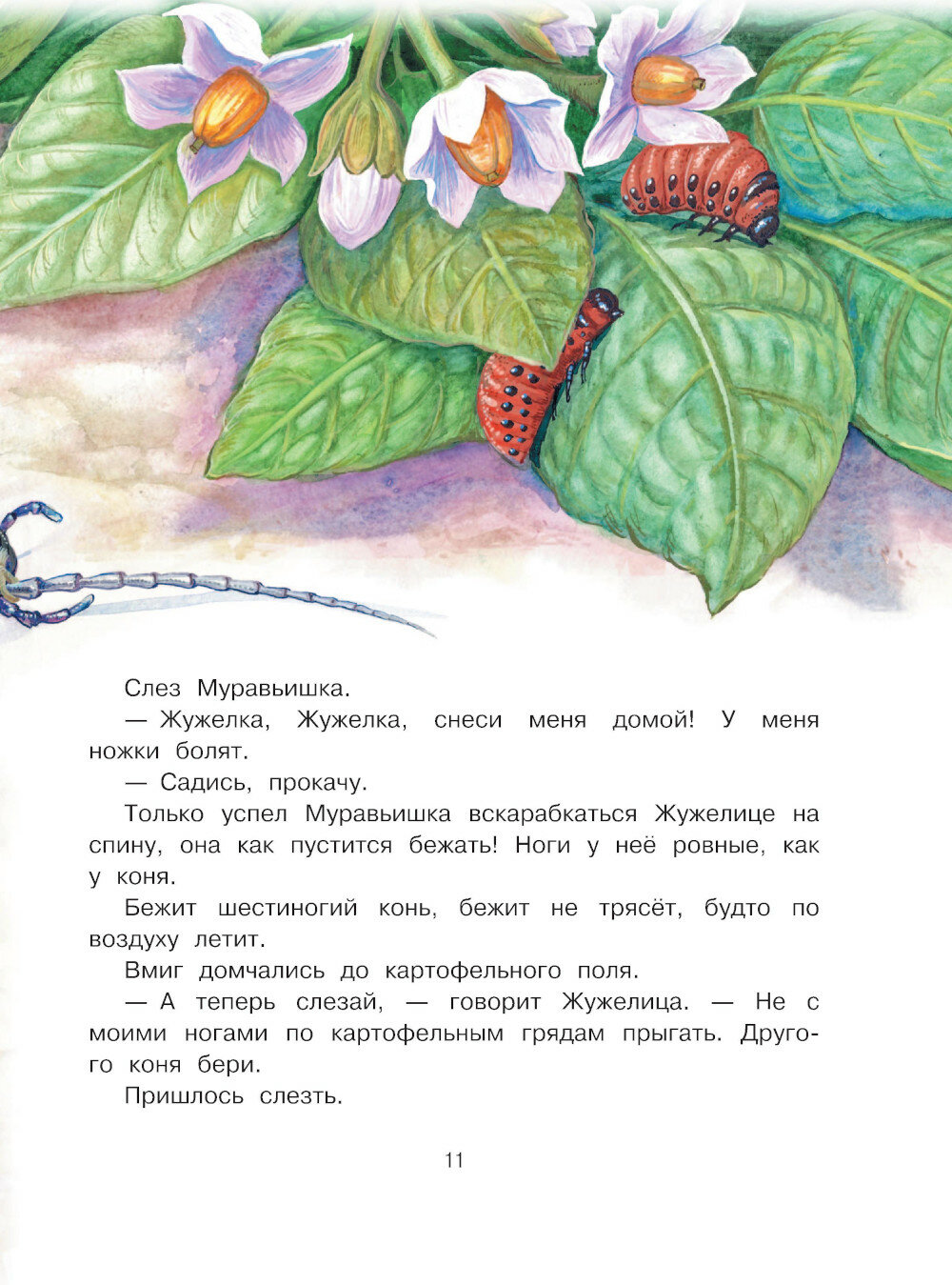Сказки. К 130-летию писателя (Бианки Виталий Валентинович) - фото №17