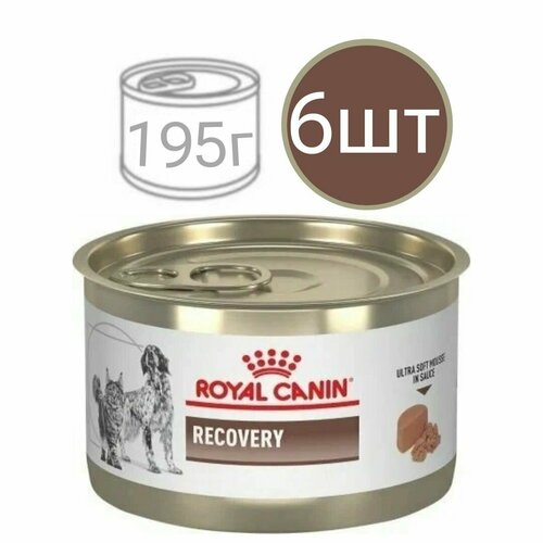 Влажный корм для кошек и собак , Royal Canin Recovery , в период восстановления после операции (6шт по 195г)