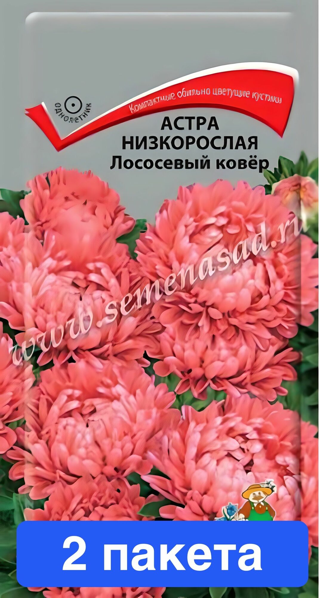 Семена цветов Поиск 