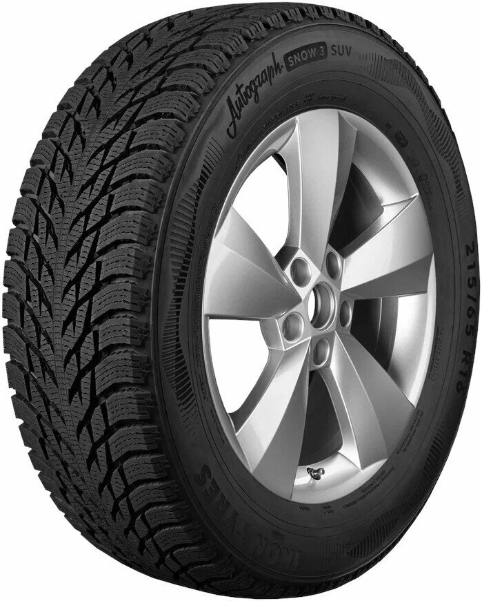 Зимние шины 19/255/45 Ikon Tyres Autograph Snow 3 104T XL
