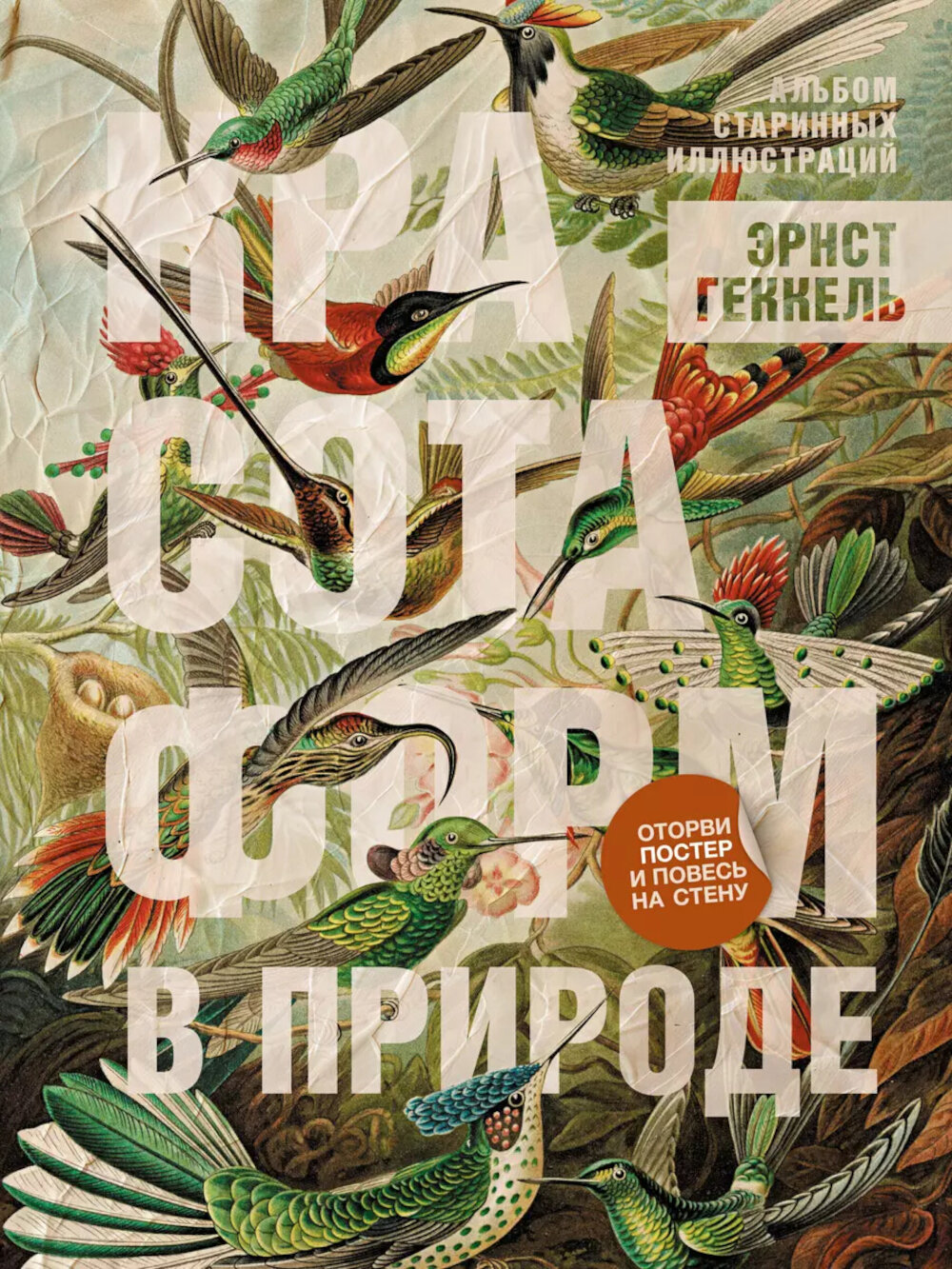 Красота форм в природе. Альбом старинных иллюстраций, Геккель Э, АСТ