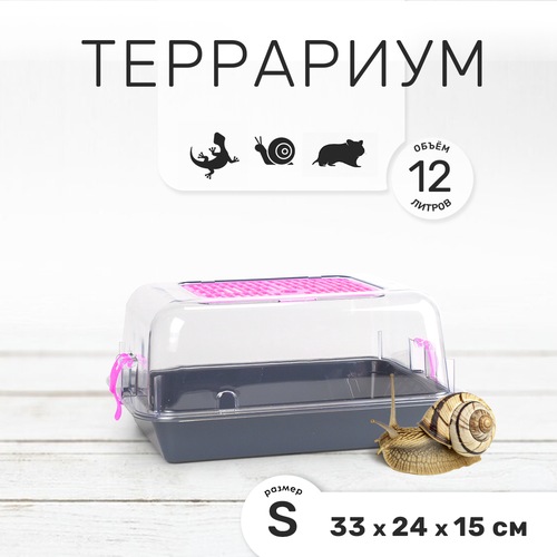 Террариум-клетка ZOOSET ДЮНА для улиток, черепах и мелких грызунов, 33х24х15 см, серый/сиреневый (прозрачная крышка)