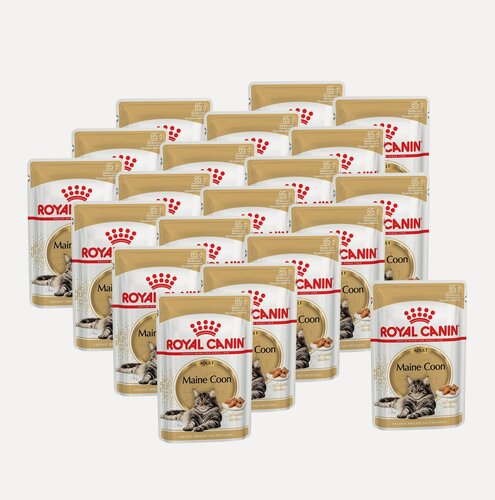 Изображение товара Royal Canin Maine Coon Adult влажный корм для взрослых кошек породы Мэйн Кун в соусе, в паучах - 85 г х 20 шт.