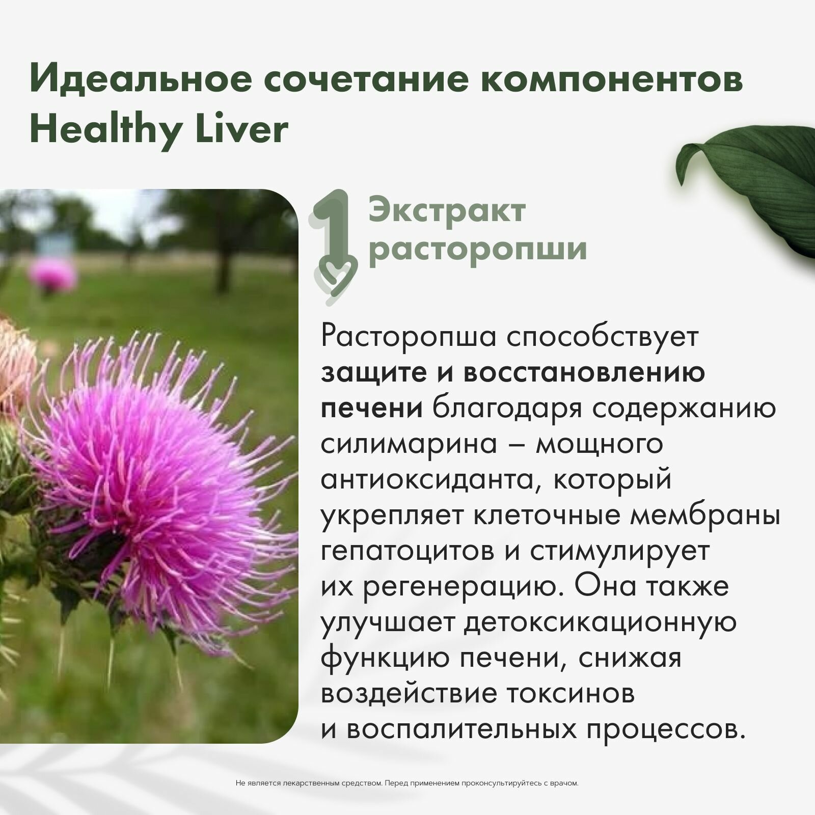 Здоровая печень RESTARTBIO 120 капсул / витамины для мужчин и женщин для печени Healthy liver рестартбио — фото 1