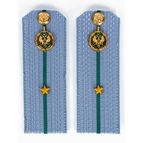 Погоны Пограничной службы ПС ФСБ в сборе картон на рубашку звание Младший лейтенант 14х5см