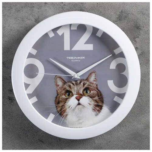 фото Часы настенные, серия: животный мир, "кот", белый обод, 29х29 см qwen