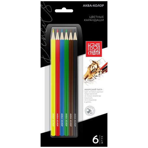 Аква-колор IZO-CP6B Изостудия Набор цветных карандашей 6 цв. 4 шт.