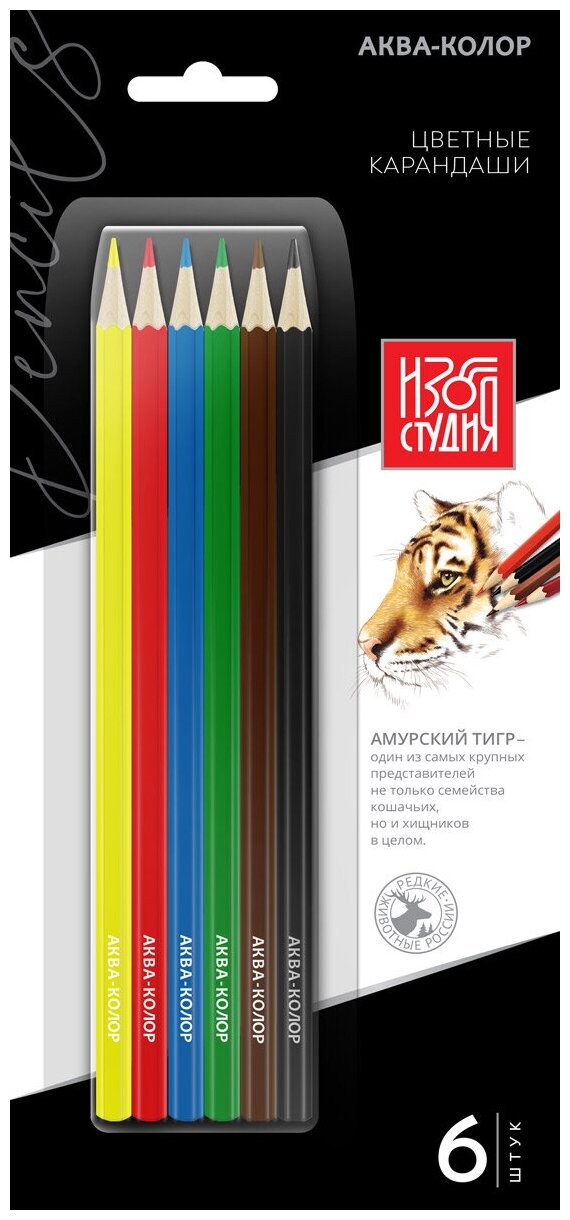 Набор цветных карандашей "Аква-колор" "Изостудия" IZO-CP6B заточенные 6 цв.