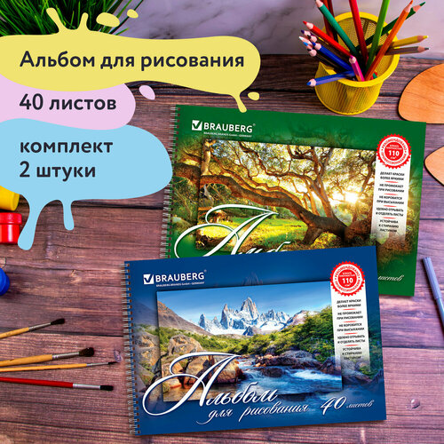 Альбом д/рис. А4 40л, комплект 2шт, гребень, обл. картон, BRAUBERG, 205х290мм, Природа(2вида),880031