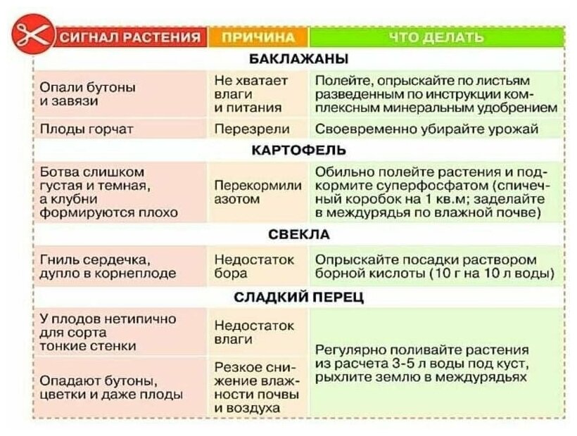 Удобрение Борная кислота 10 г - фотография № 2