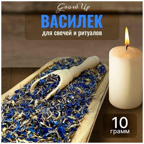 Сухая трава Василек (лепестки) для свечей и ритуалов, 10 гр сухая трава василек цветы для свечей и ритуалов 5 гр