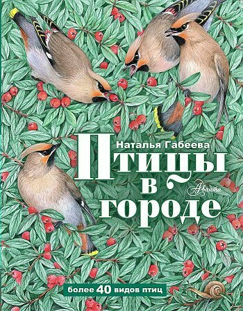 Книга АСТ Оглянись вокруг. Птицы в городе. 2022 год, Н. М. Габеева