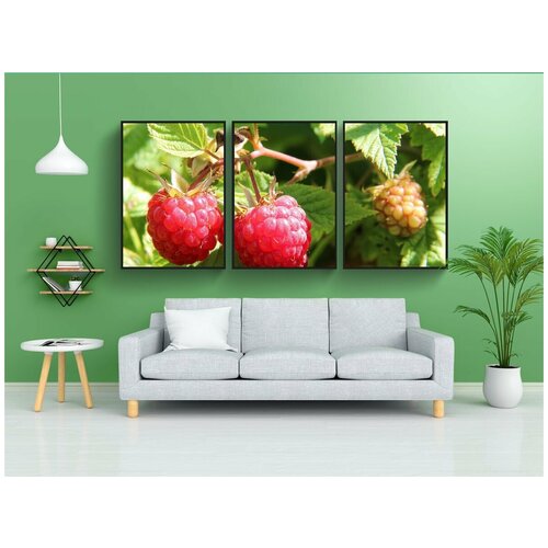 фото Набор модулных постеров для интерьера "ягоды малины, малина куст, еда" 60x90 см. в тубусе, без рамки lotsprints