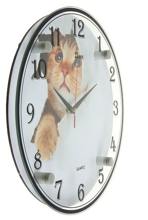 Часы настенные Рубин "Кот в бумаге" (3030-1108)