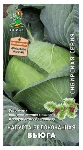 Семена капусты Сибирская Вьюга 0,5 г — купить в интернет-магазине по низкойцене на Яндекс Маркете
