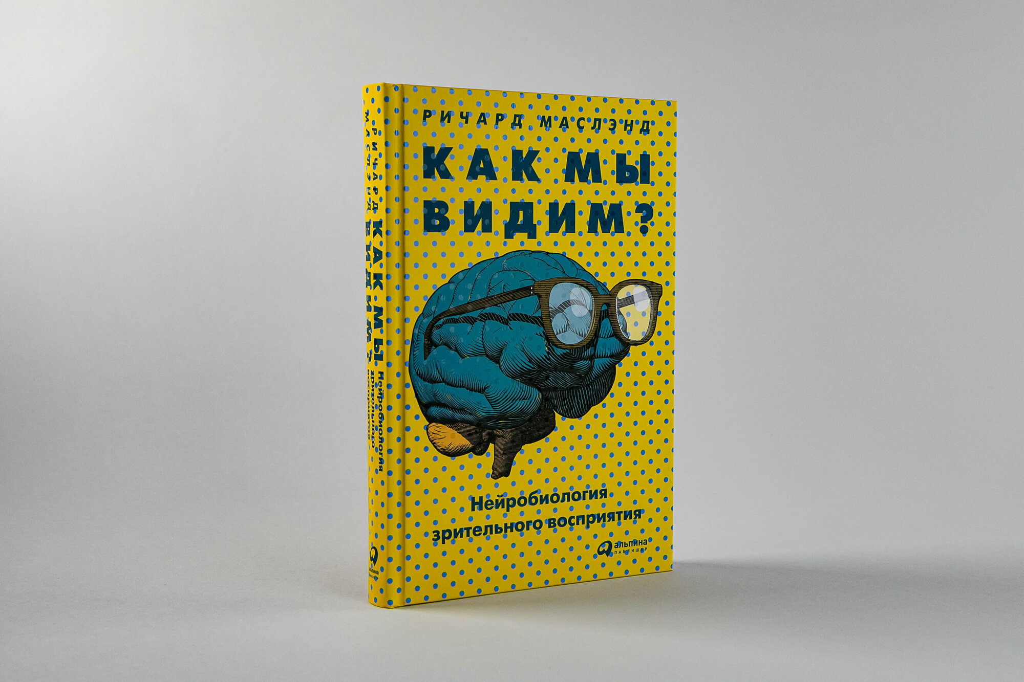 Как мы видим? Нейробиология зрительного восприятия