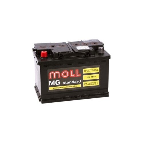 Аккумулятор Moll MG Standard 75 Ач 720А прям. пол.