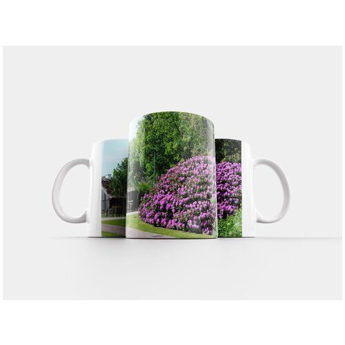 фото Кружка "цветок, рододендрон, лахольм" 320 мл lotsprints