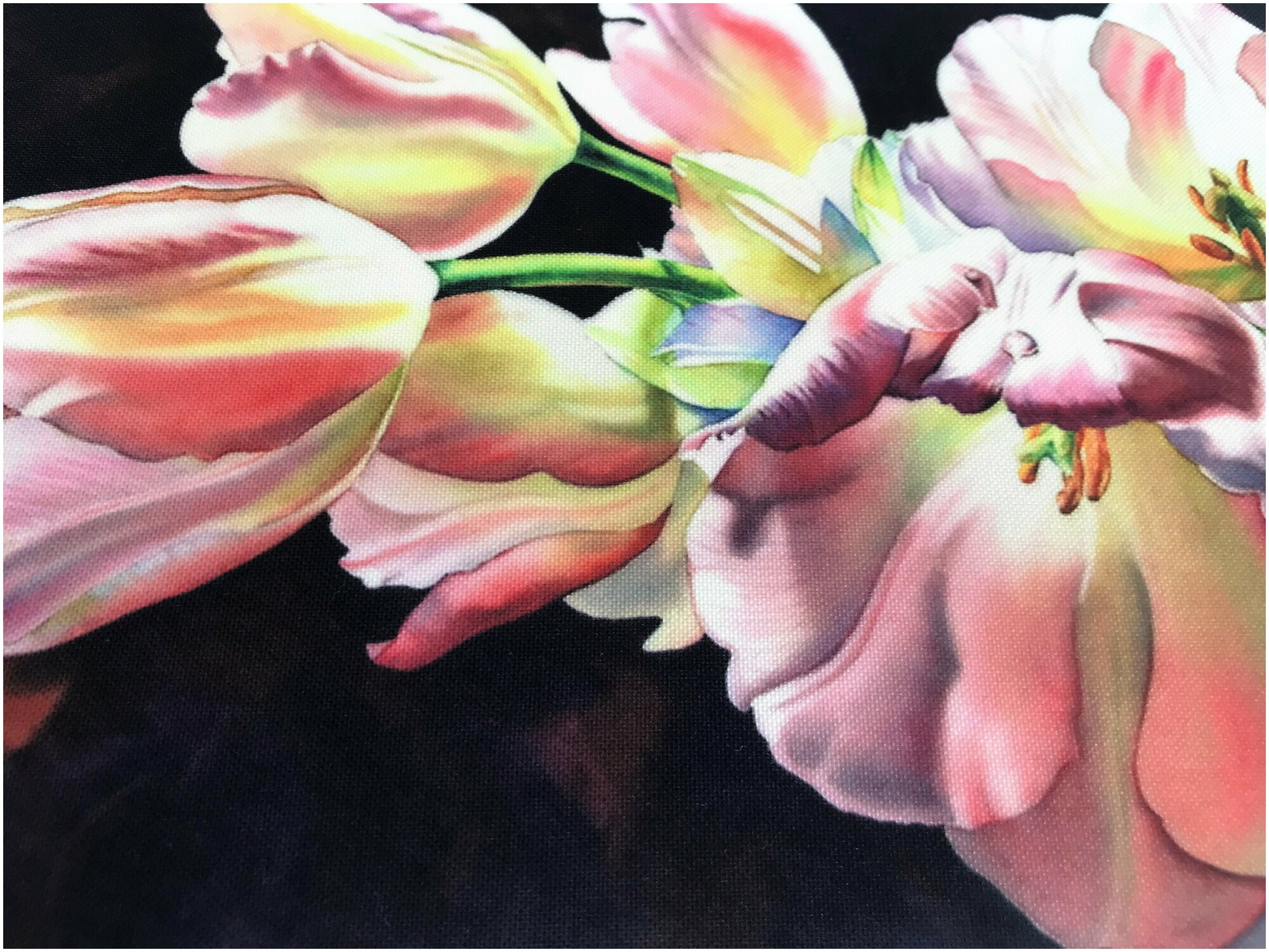 КЛ 4046 Розовые тюльпаны - схема (Каролинка) - фото №4
