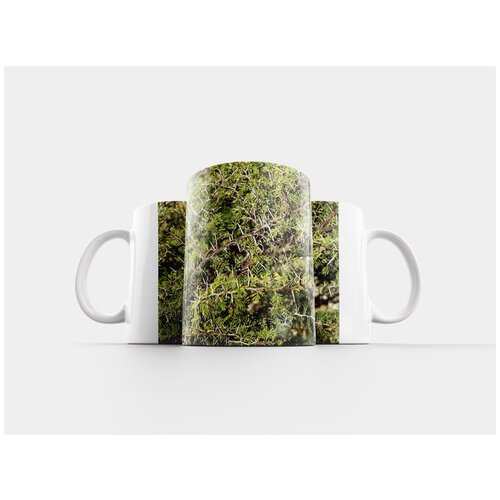 фото Кружка "шипы, шпора, закрывать" 320 мл lotsprints