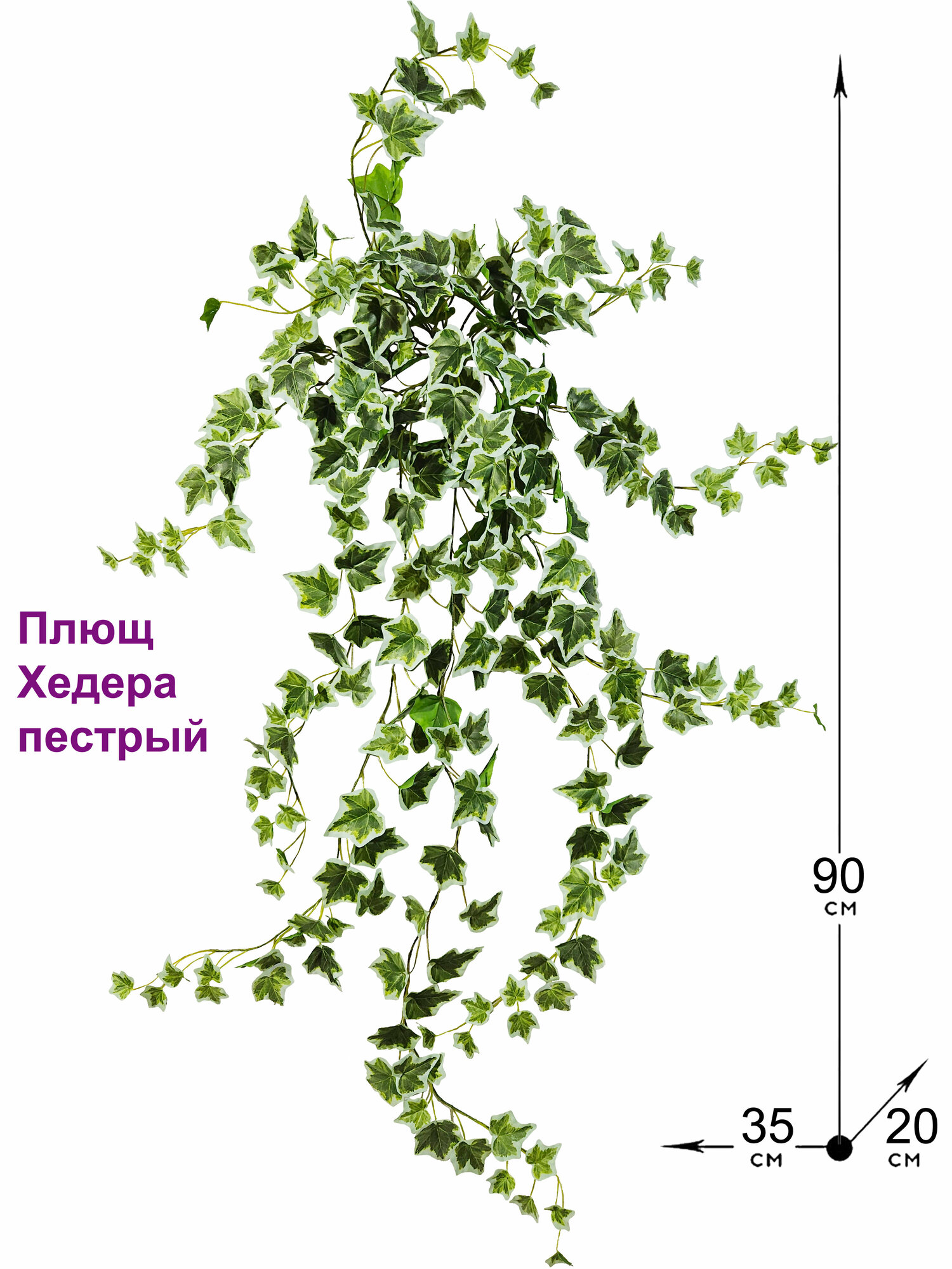 Искусственное растение Плющ Хедера пестрый от ФитоПарк