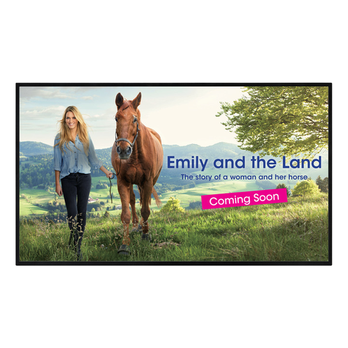 Профессиональный дисплей 43 LED Ultra 3840x2160 ГоризонтальноВертикально 350 cdm2 40001 4K USB Медиа-плеер 10Wx2 167 HDMI CEC Link HDMIx3 USBx1 LAN RS232 D-sub PNHW431 7079300₽