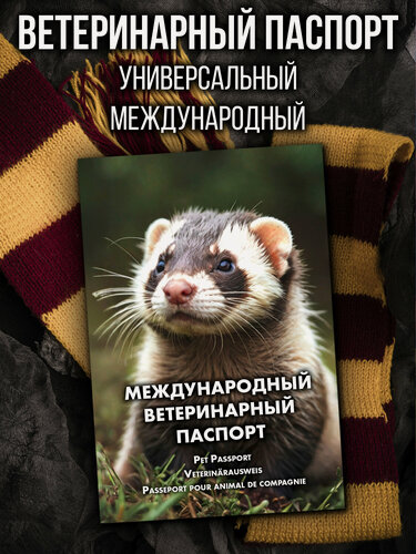 Изображение товара Ветеринарный паспорт для хорька международный