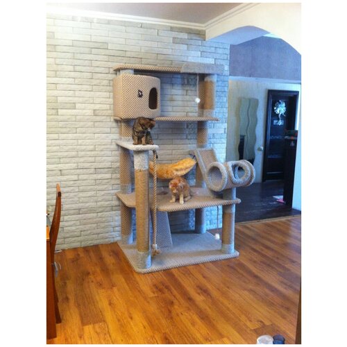 Домик для кошки когтеточка игровой комплекс для кошек И-188 (мейн-кун) для крупных кошек