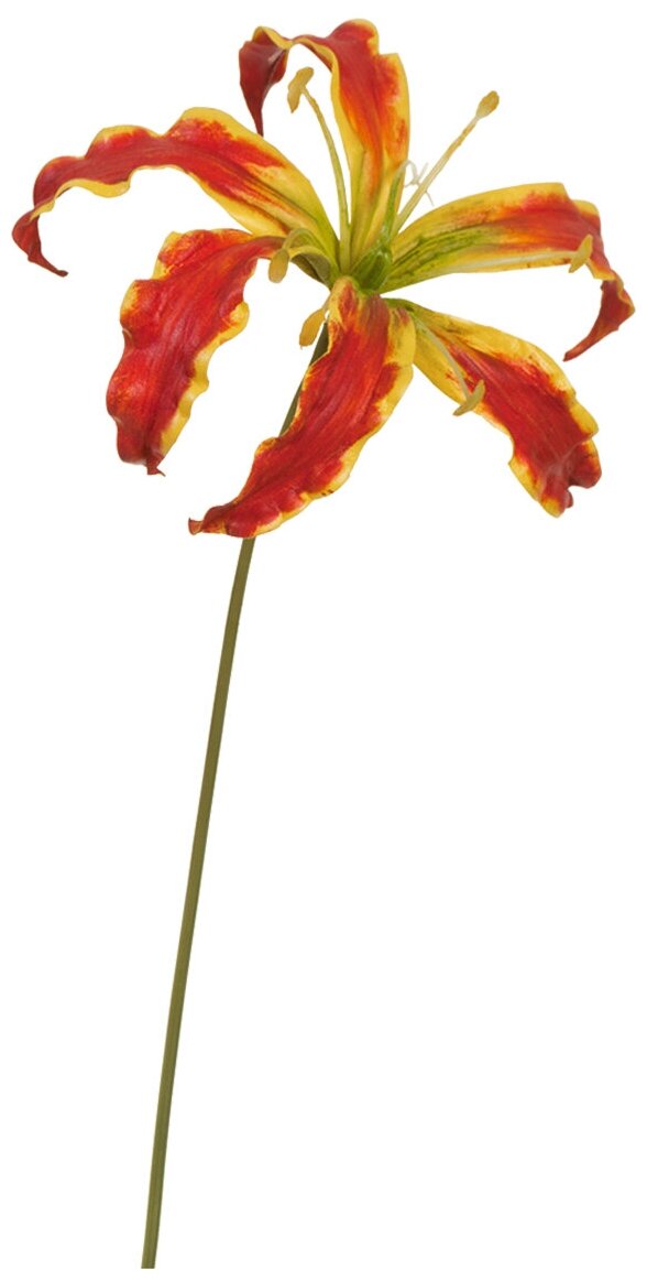 Искусственные растения / Декоративные композиции для интерьера / Искусственный цветок Глориоза алая с добавлением желтого