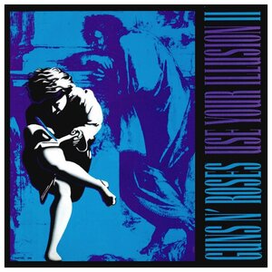 Виниловая пластинка Guns N'Roses - Use Your Illusion 2 ( 2 lp )