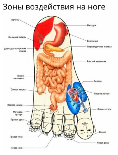 Шарик Су-Джок с кольцами для массажа рук, ног и тела.  мячик .