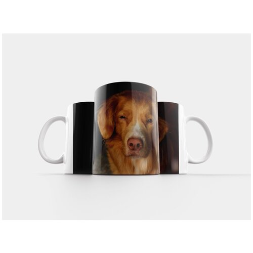 фото Кружка "собака, pet, ретривер" 320 мл lotsprints