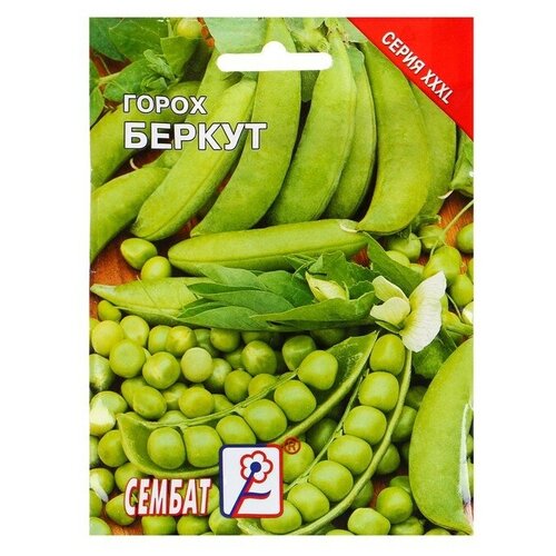 Семена ХХХL Горох Беркут, 25 г