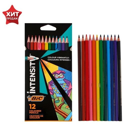 Карандаши 12 цветов BIC Color Up, для подростков и взрослых, трёхгранные, микс