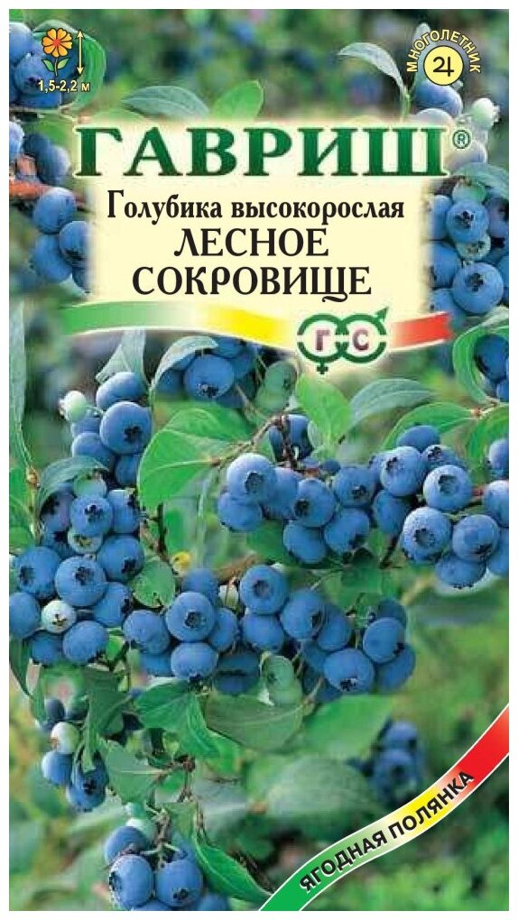 Семена Голубика высокорослая Лесное сокровище 30шт*2 (2 пакета)