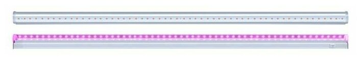 Светильник светодиодный PPG T5i-1200 Agro 15Вт IP20 для растений красн./син. спектр JazzWay 5025974