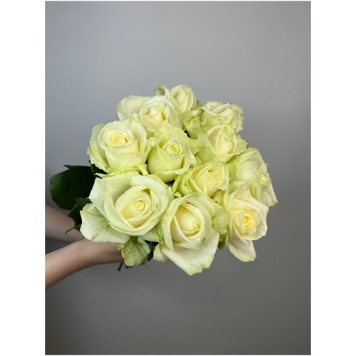 Букет из 11 белых роз Аваланж", 50 см бренд "Империя цветов