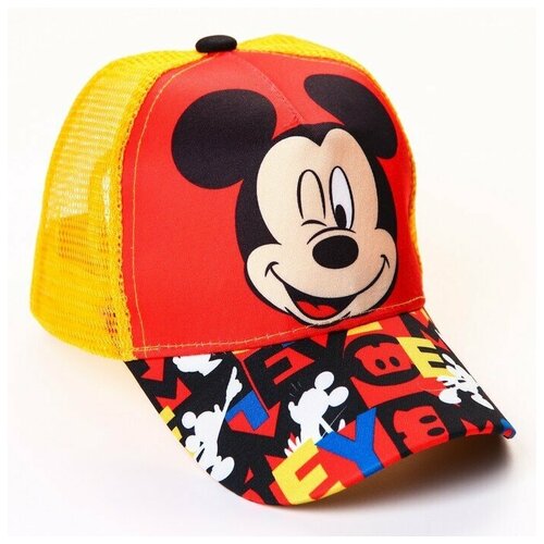 фото Кепка детская с сеткой, р-р 52 нет бренда