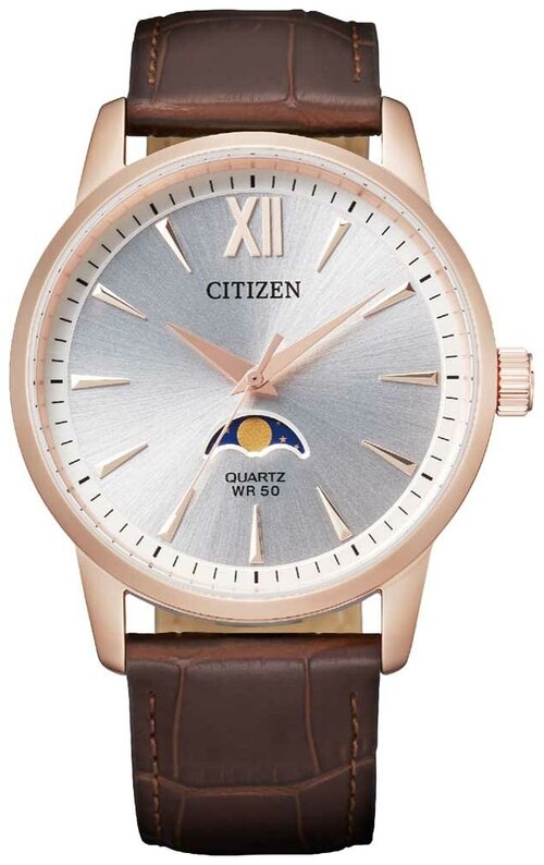 Наручные часы CITIZEN Basic AK5003-05A, коричневый, серебряный