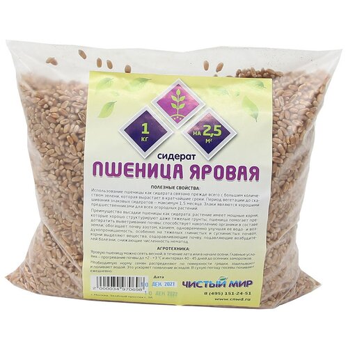 Сидерат Пшеница яровая, 1 кг. семена пшеница яровая харьковская 46 0 5 кг