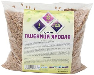 Сидерат Пшеница яровая, 1 кг.