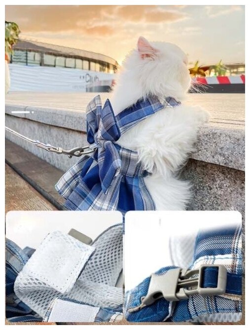 Шлейка для собак и кошек. Нарядное платье с поводком. Голубая клетка. Размер S (24см) - фотография № 3