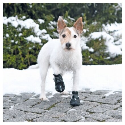 Ботинки для собак Trixie Walker Active M, чёрный - фотография № 9
