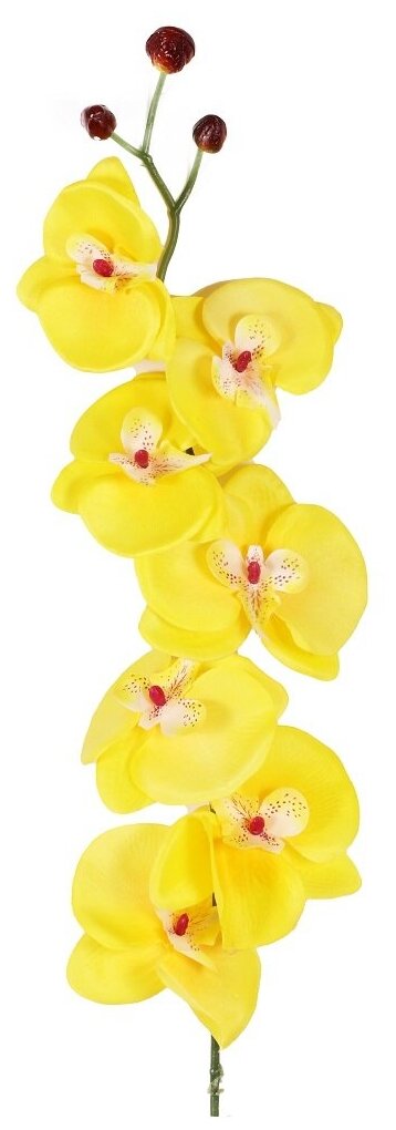 Искусственные цветы Орхидея желтая от бренда Holodilova